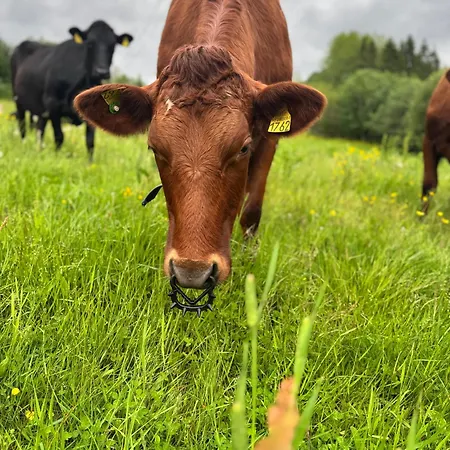 Magdastu Pa Romstad Gard Holiday home