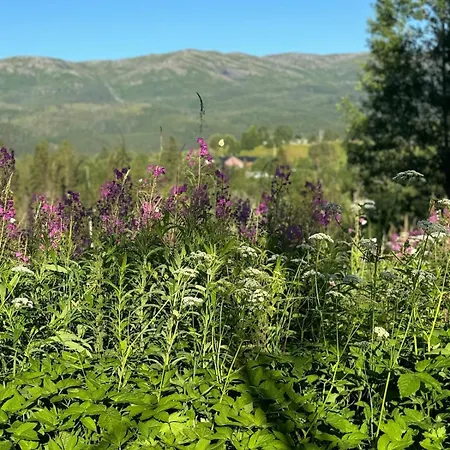 Feriehus Magdastu På Romstad Gård