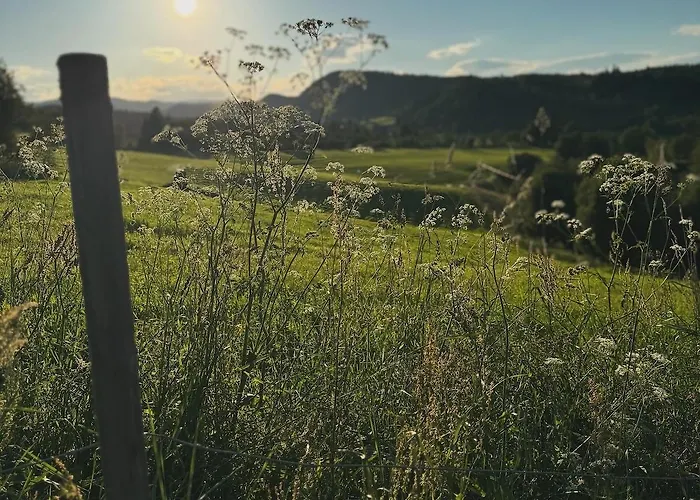 Сasa de vacaciones Magdastu Pa Romstad Gard