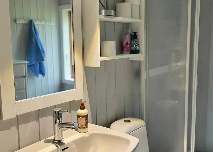 Сasa de vacaciones Magdastu Pa Romstad Gard Hoylandet