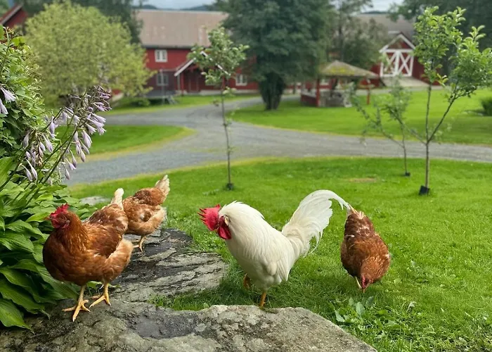 Сasa de vacaciones Magdastu Pa Romstad Gard Hoylandet