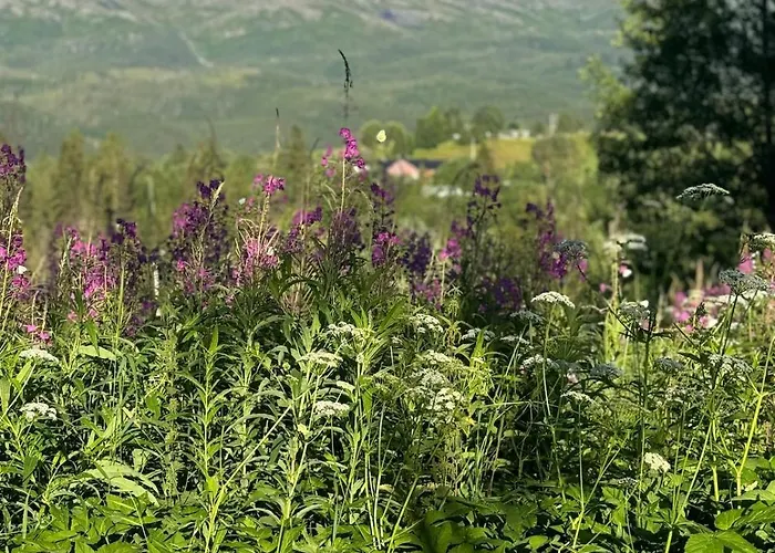 Сasa de vacaciones Magdastu Pa Romstad Gard