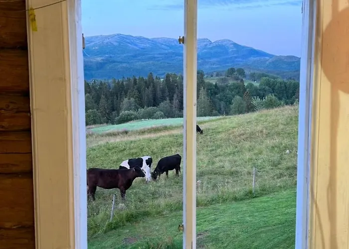 Magdastu Pa Romstad Gard Сasa de vacaciones *