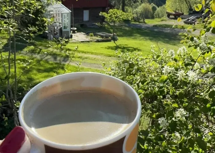 Сasa de vacaciones Magdastu Pa Romstad Gard Hoylandet
